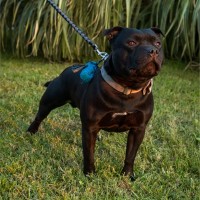 Lonati spa Employee Francesco Betella's profile photo