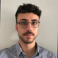 Mario Valle Email
