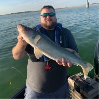 Information Management Systems Employee Shaun Kingery's profile photo