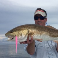 Brandt Information Services Employee Matt Mitchell's profile photo