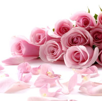 Sinbad Employee Nhi Võ's profile photo