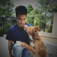 Animal World Veterinary Clinic Employee Daniel Chia's profile photo