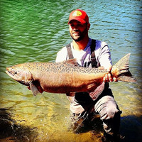 Jarron Ritchie Email & Phone Number