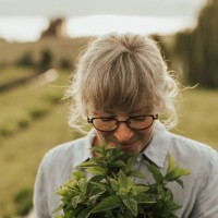 Okanagan Lavender Herb Farm Employee Andrea McFadden's profile photo