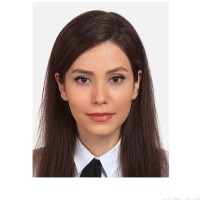 Chrysos Corporation Employee Neshat Panahi's profile photo