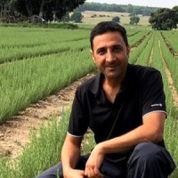 Vertical Field Employee Gilad Marek's profile photo