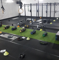 SOM Employee Chris Gentile's profile photo