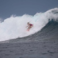 Sara Laughter Email & Phone Number