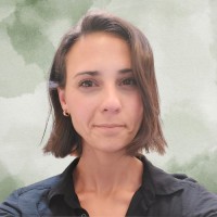 Noël Hanley's profile photo