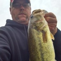 Champion Drywall Inc Employee Mike Rose's profile photo