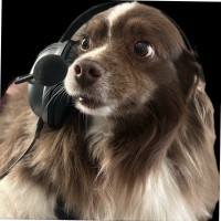 Kristopher T.'s profile photo