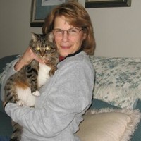 CareFusion Employee Sally Bender's profile photo