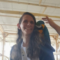 Boldare Employee Paweł Stankiewicz's profile photo