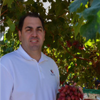 Rob Spinelli Email & Phone Number