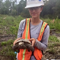 Cardno Employee Kristen Ramsey's profile photo