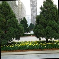 Spectrum International School Employee Shakirullah Abdulazeez's profile photo