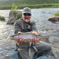 Bill Bedell Email & Phone Number