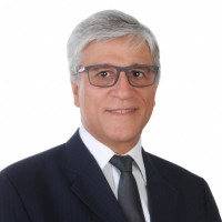 Afonso Henriques Moreira Santos Email & Phone Number