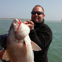 Acadia Services Employee Chris Collier's profile photo