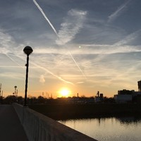 Indiana University School of Medicine Employee Junnan Li's profile photo