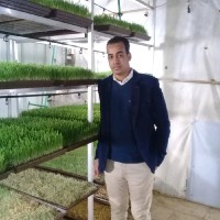 TEAM4 Security Employee Mohamed Ibrahim's profile photo
