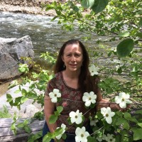 State of California Employee Cindy Greer's profile photo