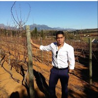 Flexinova Employee Marco Daniels's profile photo