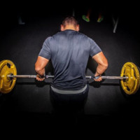 David Barbosa Email & Phone Number