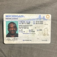 Looking Employee Mario Cato's profile photo