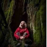UBC Faculty of Forestry Employee Suzanne Simard's profile photo