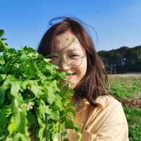Flyking Technology Employee Bowie Zou's profile photo