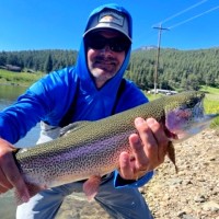 Rodney Phillips Email & Phone Number