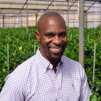 Curio Wellness Employee Farai Lcgi's profile photo