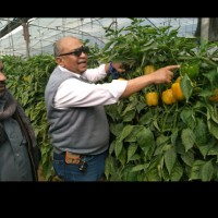 Kanzagroup Employee Gamal Saad's profile photo