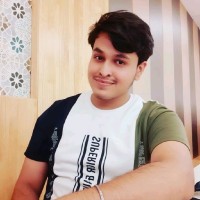 Web N Soft Solution Employee Shubham Palkhe's profile photo