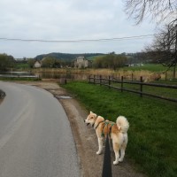 Patrick Leclercq Email