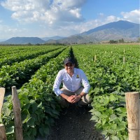 Ayco Farms Inc Employee Andres Pullin's profile photo