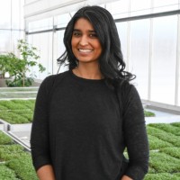 Rootree Inc. Employee Sjonum st-Cyr's profile photo