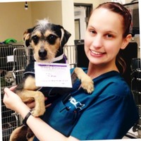 Erin Redding Email & Phone Number