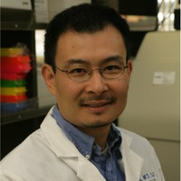 Simin Liu Email & Phone Number