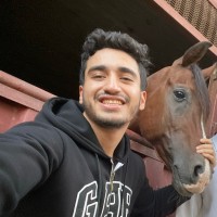 Ahmed Elbahy Email