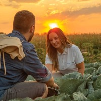 Agrosava Employee Jovana Bajčić's profile photo