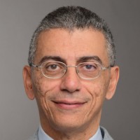 Ayman Awadallah Email