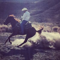Mario Uribe Email & Phone Number