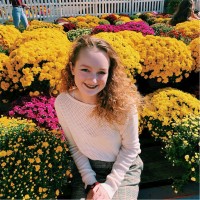 Lily Pieper Email & Phone Number