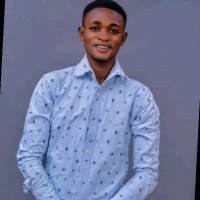 Arch Web Design Employee Abiodun Sogbanmu's profile photo