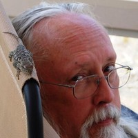 John Maberry