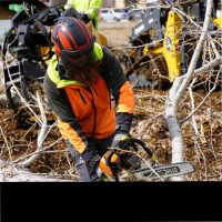 Rivendell Tree Experts Employee Andrew Petersen's profile photo