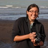 Cerea Steficek Email & Phone Number