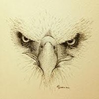 Town of Holly Springs Employee Carolyn Couch's profile photo